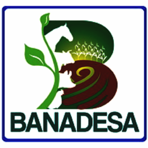 Logo del Banco Nacional de Desarrollo Agricola. BANDESA