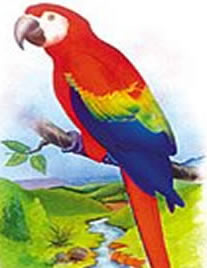 Guacamaya ave nacional de Honduras