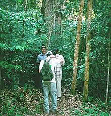 Selvas de Magulile, Olancho