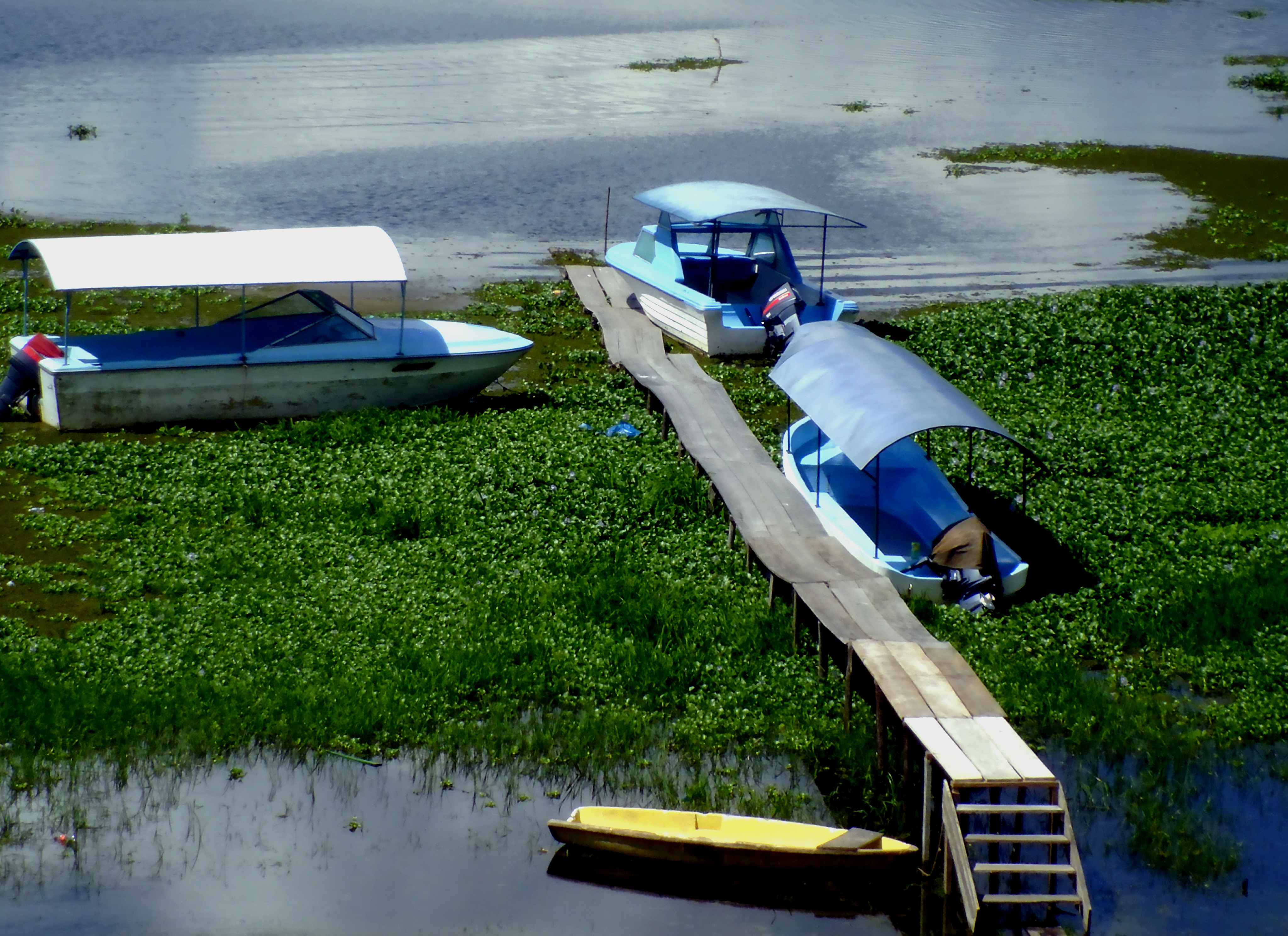 Vista del Lago de Yojoa