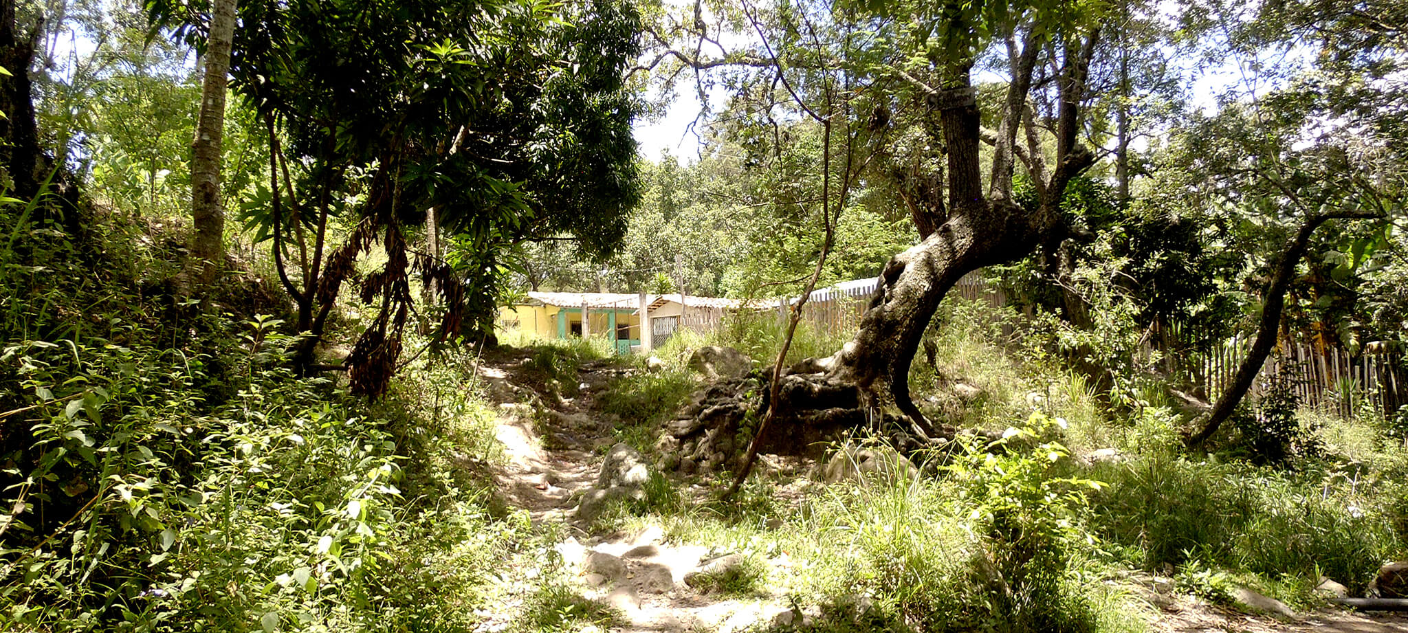 Vista de los vecinos