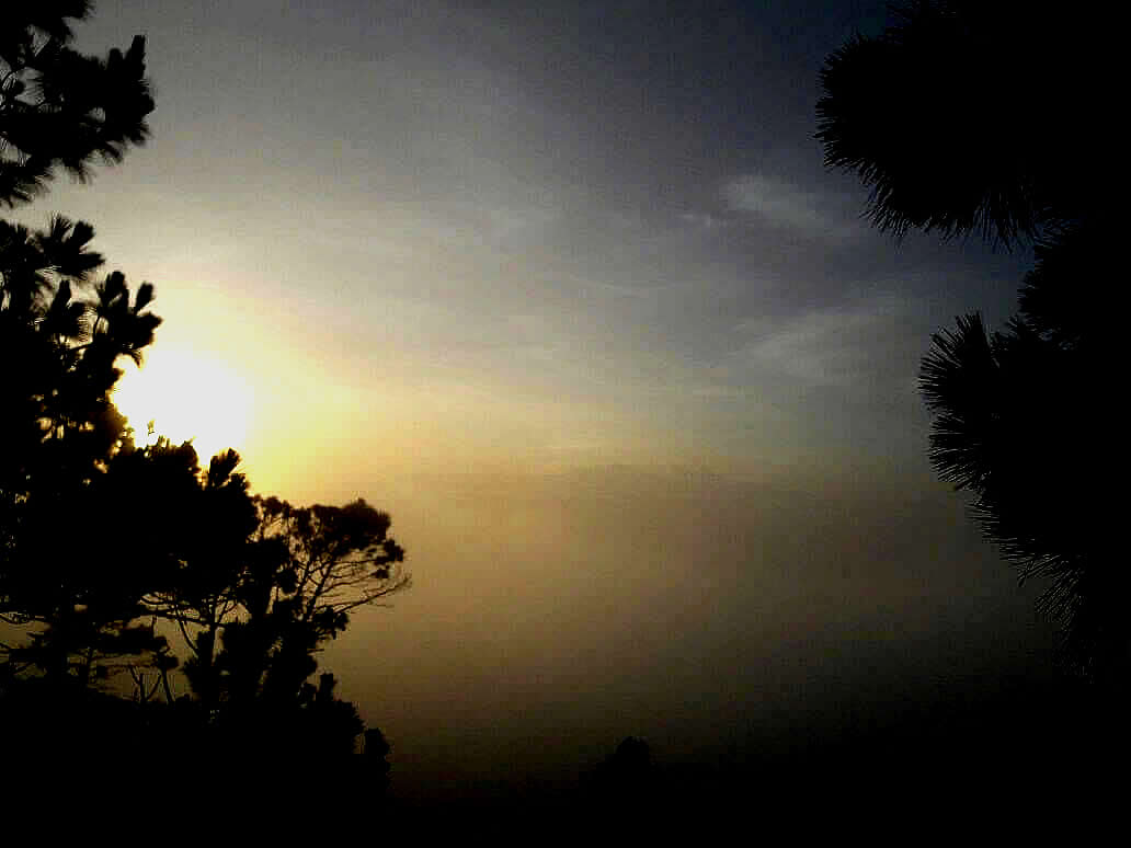 Bosque de Honduras