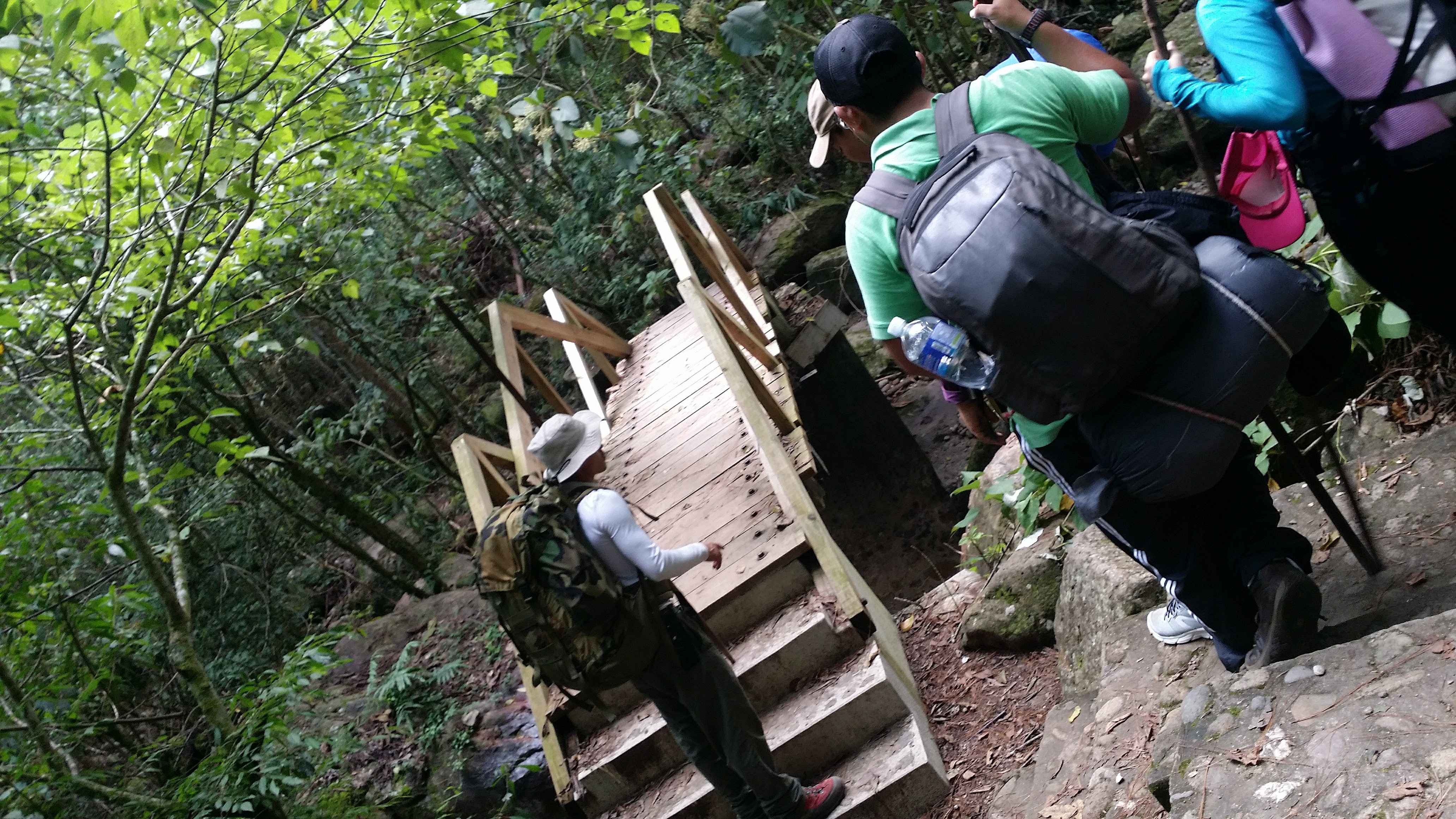 Bosques nublados, sitios favoritos para hacer turismo