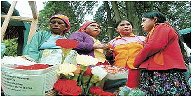 Comerciantes de La Esperanza