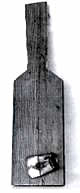 cidara