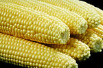 Ricos sabor de la tierra,los elotes